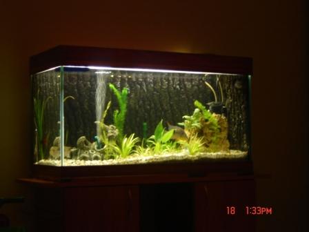 :  .JPG
: 95
:  16,5 