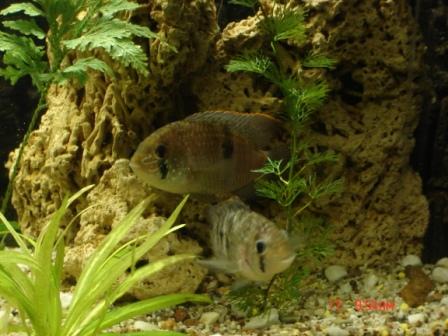 :  .JPG
: 95
:  33,5 