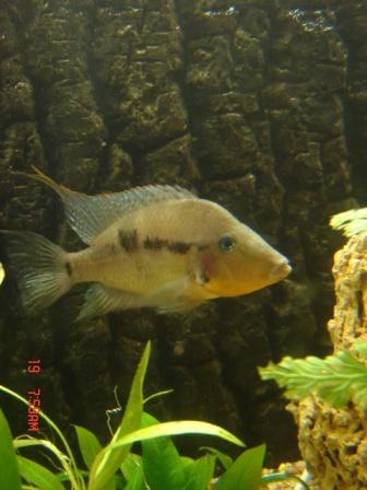 :  1.JPG
: 99
:  25,6 