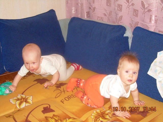 :  DSCN1205.jpg
: 167
:  46,9 