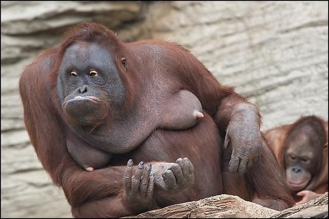 :  2175544.jpg
: 923
:  45,9 