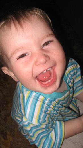 :   407.jpg
: 58
:  31,2 