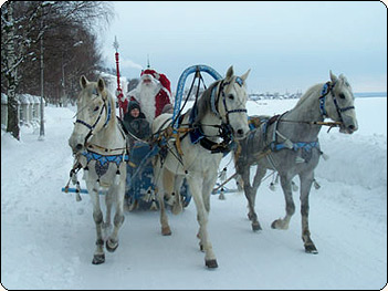 :  0_62_6227_1163437266.jpg
: 50
:  37,1 