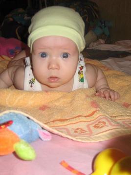 :  Picture 163.jpg
: 53
:  20,7 