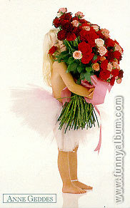 :  .jpg
: 18
:  20,5 