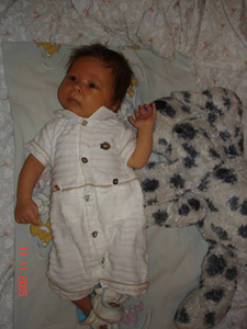 :  t.jpg
: 44
:  51,7 