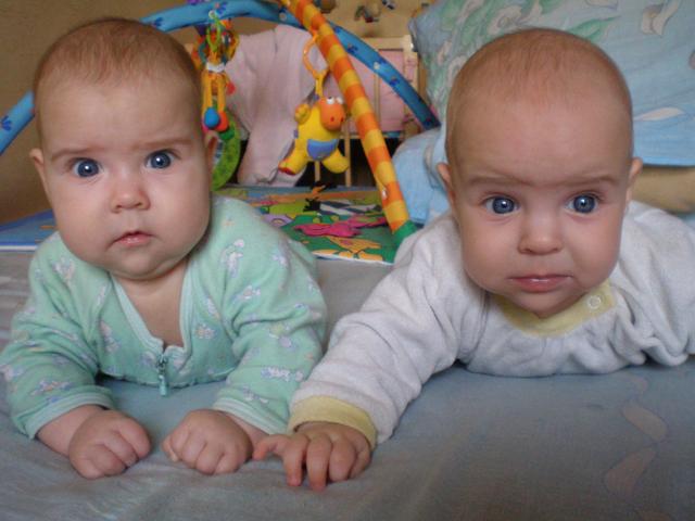 :  PB130110.jpg
: 1353
:  36,4 