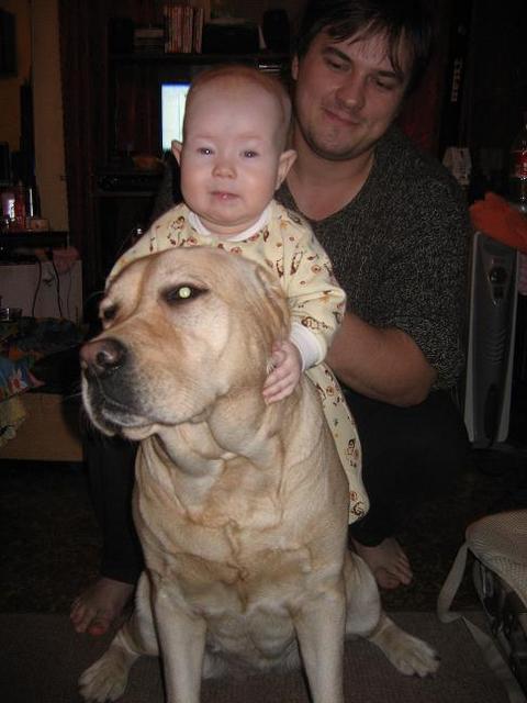 :  Picture 208.jpg
: 130
:  37,1 