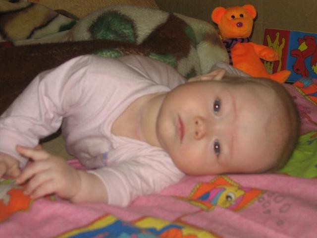 :  Picture 007.jpg
: 42
:  28,3 