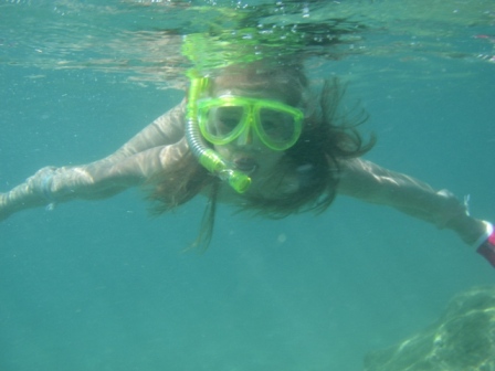 :    .jpg
: 61
:  58,5 