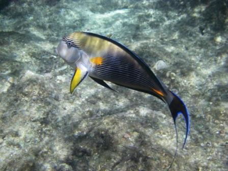 :   .jpg
: 58
:  42,4 