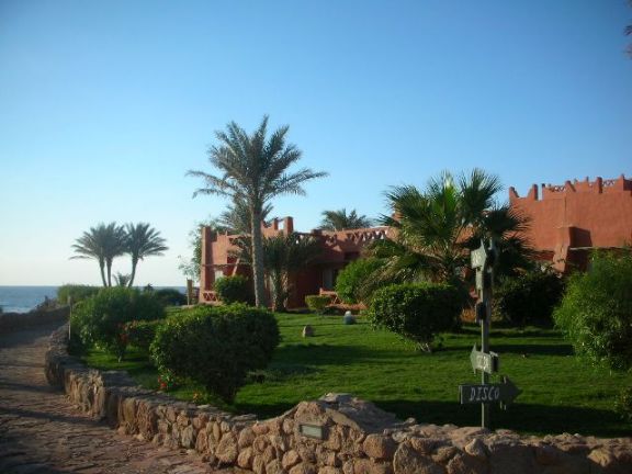 :  .jpg
: 58
:  51,9 