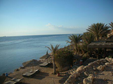 :  .jpg
: 59
:  31,9 