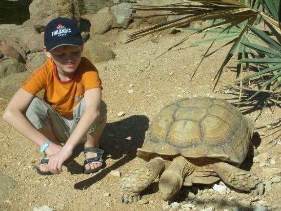 :  .jpg
: 56
:  60,9 