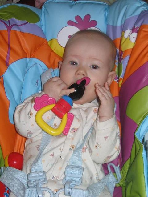 :  Picture 013.jpg
: 49
:  45,5 