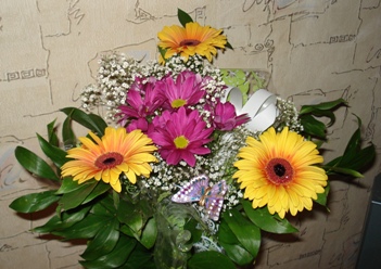 :  DSC02619.JPG
: 61
:  58,1 
