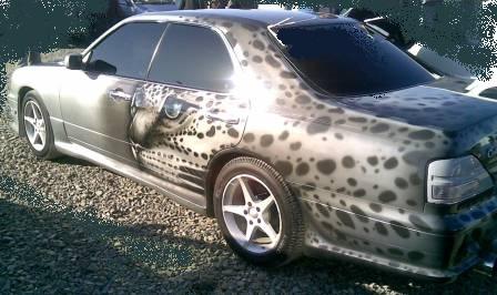 :  12102007(009).jpg
: 150
:  30,0 