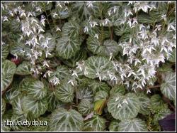 :  766883595-.jpg
: 51
:  17,3 