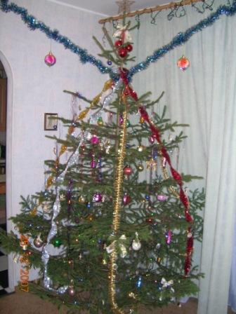 :  DSCN6480.JPG
: 79
:  39,4 