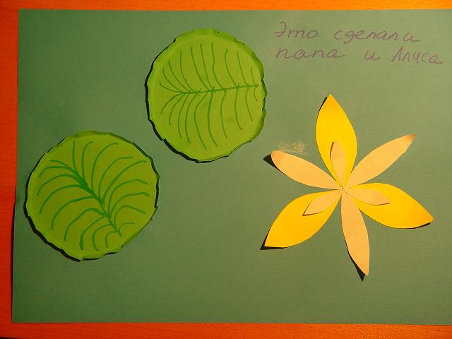 :  DSC04819.jpg
: 305
:  36,0 