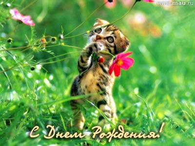 :  day02.jpg
: 76
:  27,8 