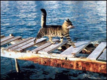 :  2.jpg
: 101
:  44,5 