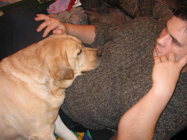 :   015.jpg
: 62
:  54,5 