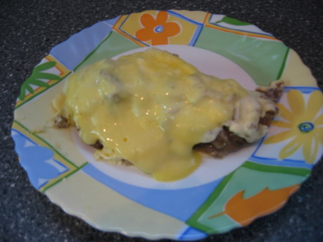 :  IMG__resize.jpg
: 1441
:  48,3 