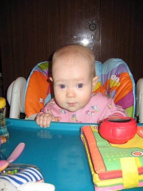 :   019.jpg
: 56
:  39,6 