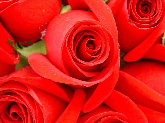 :  386b6f3f5b3c.jpg
: 79
:  52,9 