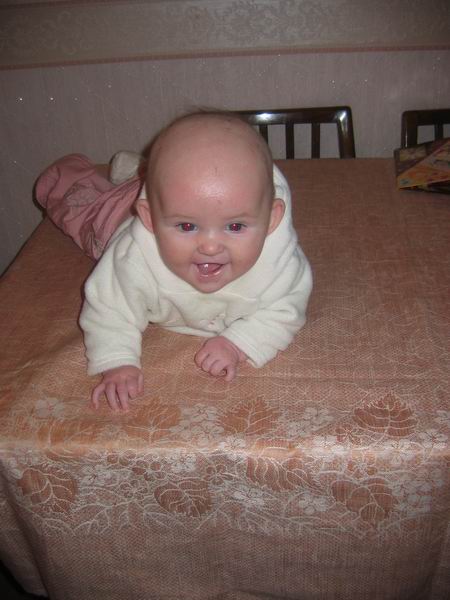 :  IMG_8373n.jpg
: 62
:  45,9 