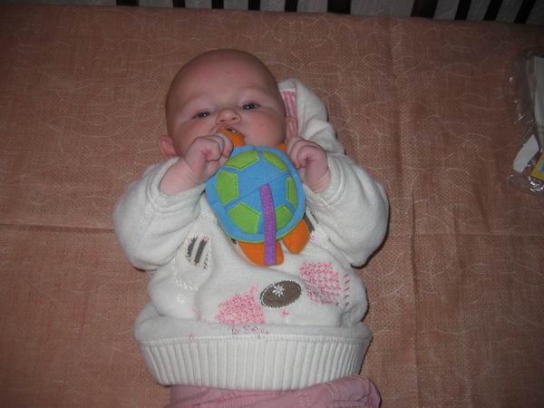 :  IMG_8381n.jpg
: 60
:  43,5 