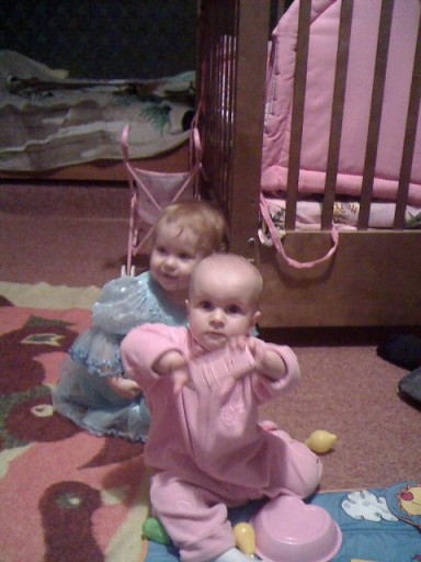 :  13-01-08_1642.jpg
: 81
:  49,1 