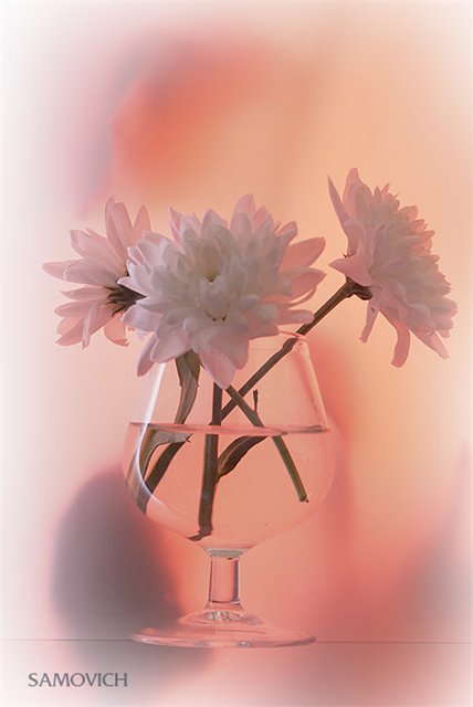 :  0672f6e14430.jpg
: 76
:  29,6 