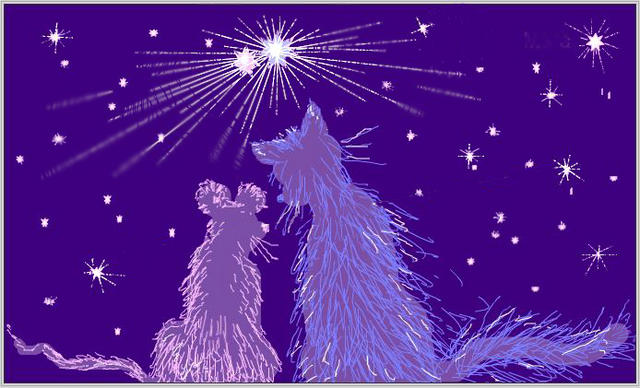 :  m010.jpg
: 62
:  53,9 