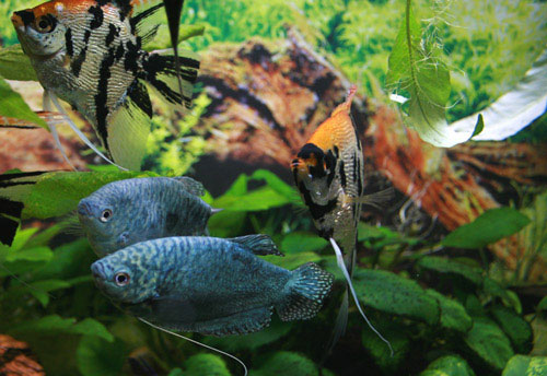 :  2008_01_08-0075.jpg
: 754
:  58,4 