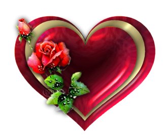 :  heart_red_gold_with_rose.jpg
: 60
:  17,0 