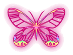 :  butterfly_006.gif
: 6685
:  12,2 