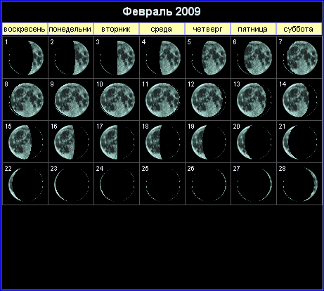 :  kalendar-2009-02.gif
: 2005
:  18,5 